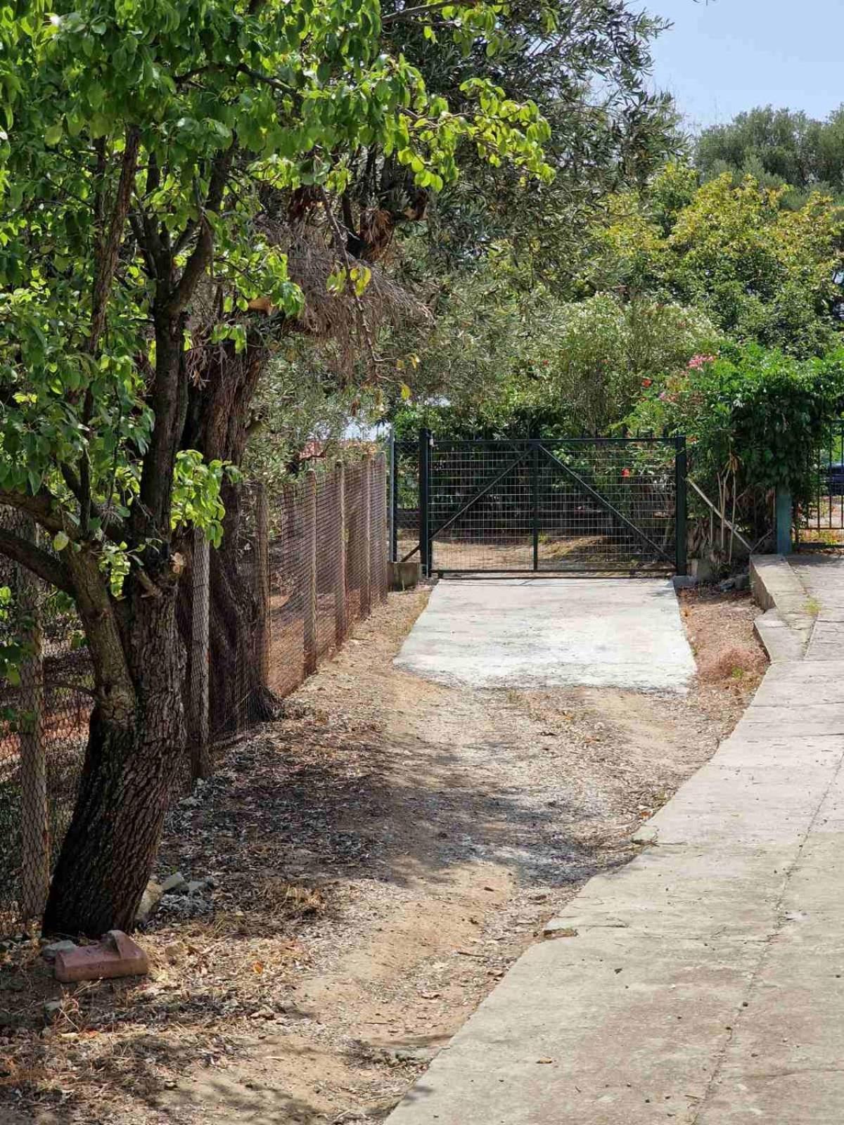 Stella'S Garden Villa Palaiontsiflikion Bagian luar foto